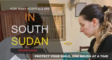 South Sudan's Healthcare: Hospitals Count and Availability