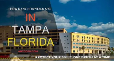 Tampa's Hospitals: A Comprehensive Count and Overview