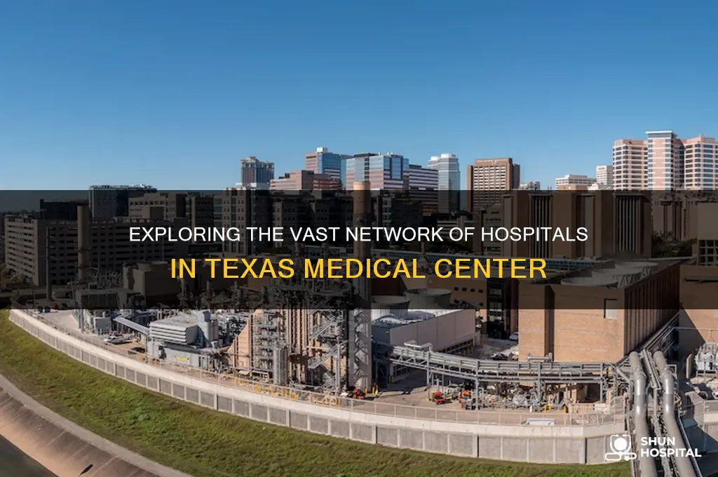 how many hospitals are in texas medical center in houston