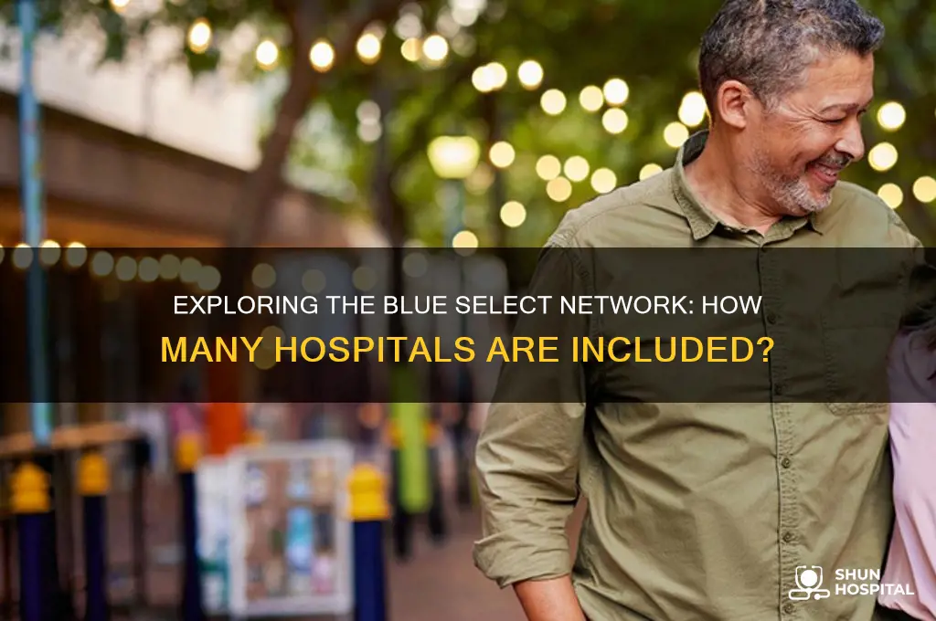how many hospitals are in the blue select network