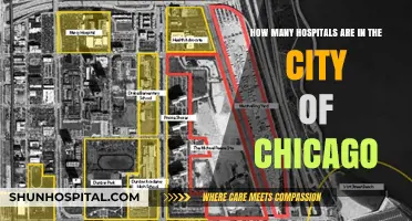 Exploring Chicago's Healthcare: The Number of Hospitals in the City