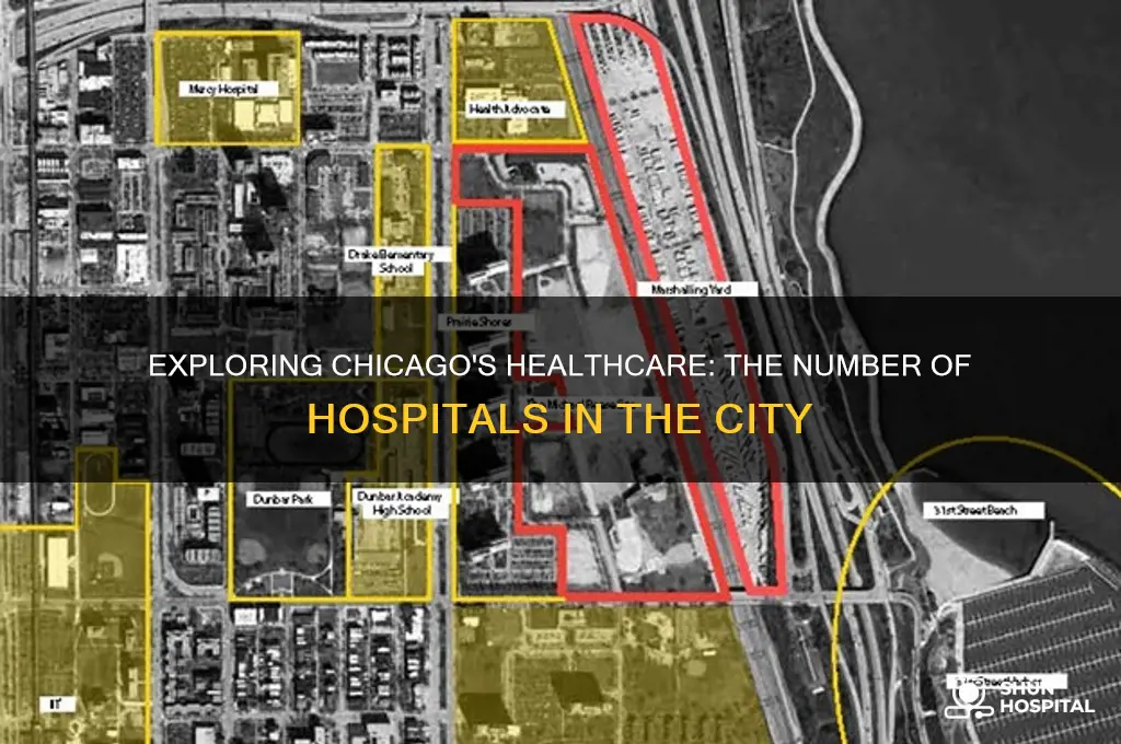 how many hospitals are in the city of chicago