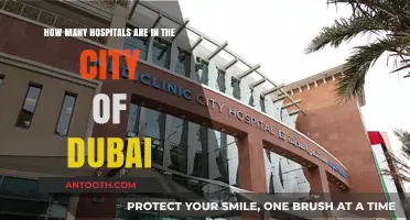 Exploring Dubai's Healthcare: A Comprehensive Count of City Hospitals
