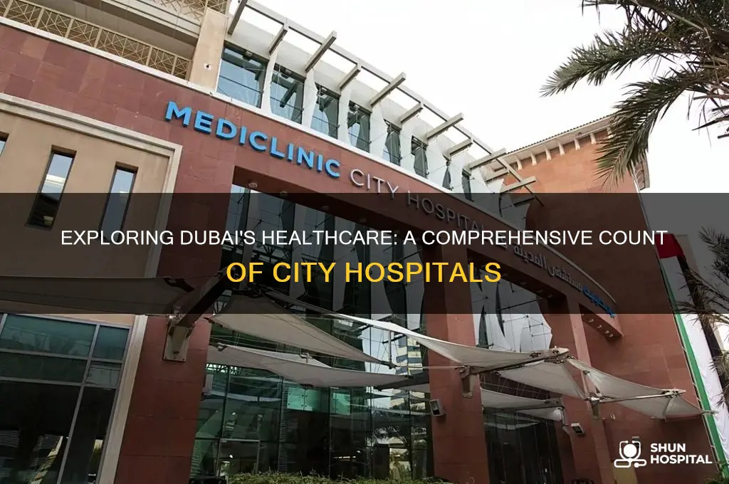 how many hospitals are in the city of dubai