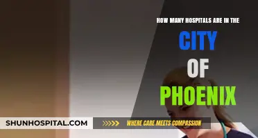 Exploring Phoenix's Healthcare: A Comprehensive Count of City Hospitals