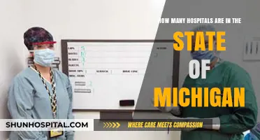Exploring Michigan's Healthcare: Total Hospitals in the State