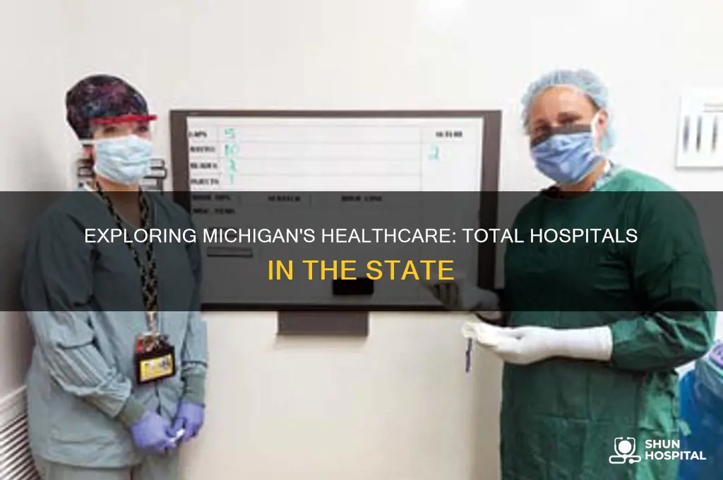 how many hospitals are in the state of michigan