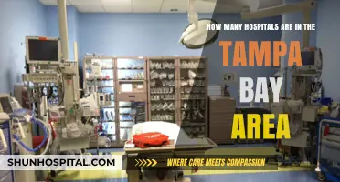Exploring Tampa Bay's Healthcare: Hospital Count and Accessibility