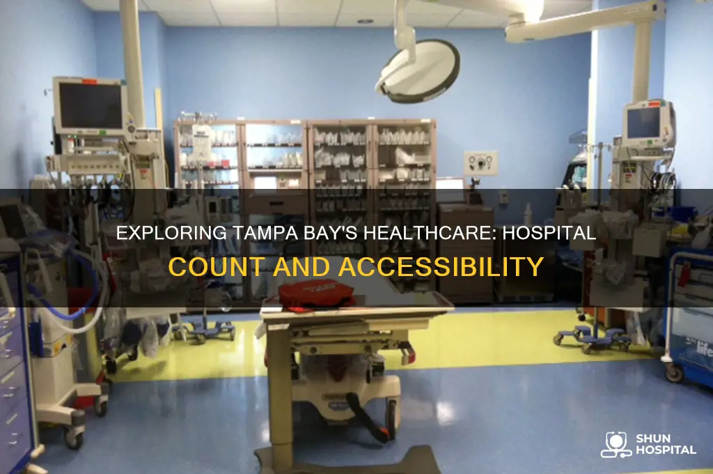 how many hospitals are in the tampa bay area