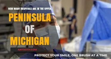 Exploring Healthcare Access: Hospitals in Michigan's Upper Peninsula Count