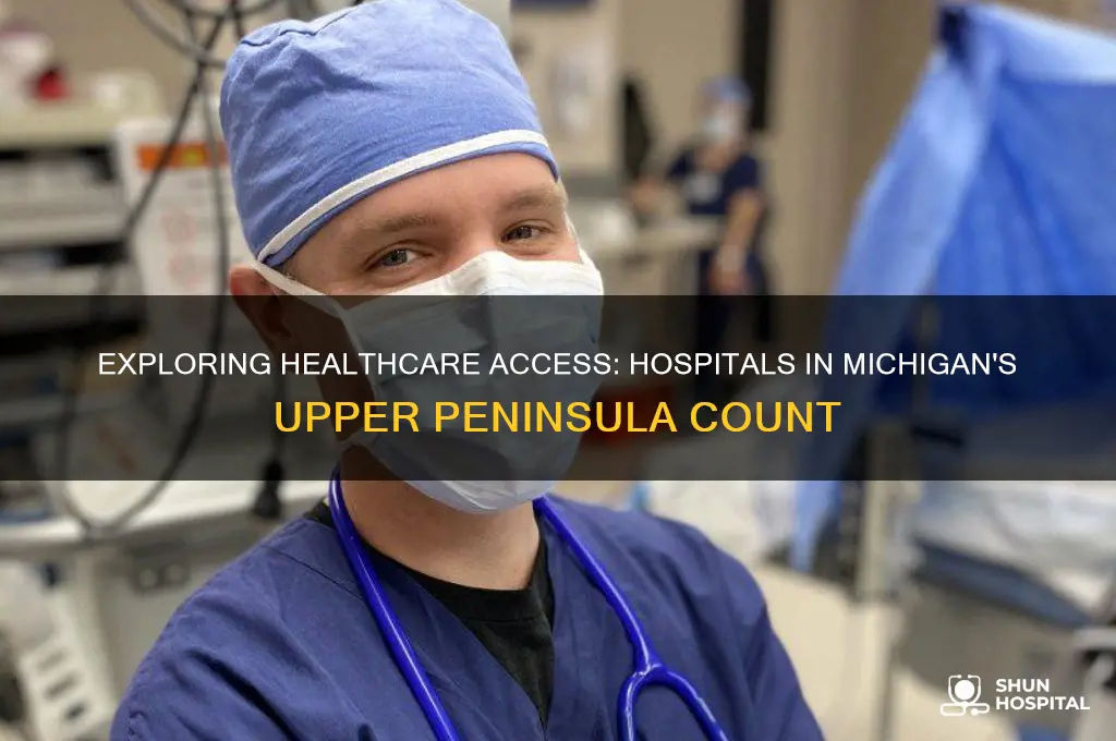 how many hospitals are in the upper peninsula of michigan