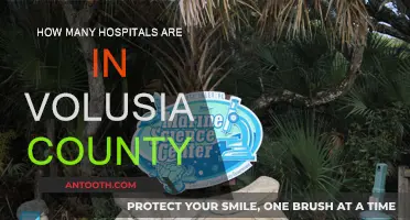 Volusia County's Healthcare: Hospitals and More