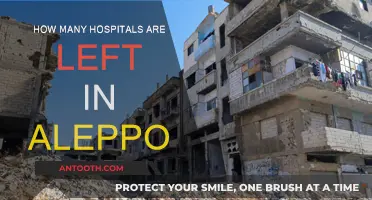 Aleppo's Remaining Hospitals: A Dire Situation