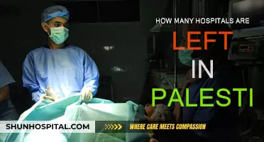 The Remaining Hospitals in Palestine: A Critical Number