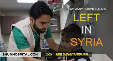 Syria's Healthcare Crisis: Hospitals Remaining