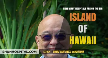 Exploring Healthcare: Hospital Count on Hawaii's Big Island Revealed