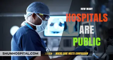 Exploring the Number of Public Hospitals in Healthcare Systems