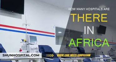 Healthcare in Africa: Number of Hospitals Across the Continent