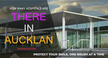 Auckland's Hospitals: How Many and Where?