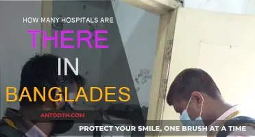 Healthcare in Bangladesh: Hospitals Count and Availability