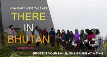 Bhutan's Healthcare: A Look at the Number of Hospitals