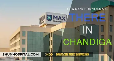 Explore the Healthcare System in Chandigarh: Hospitals Count