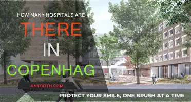 Copenhagen's Healthcare: A Comprehensive Hospital Network