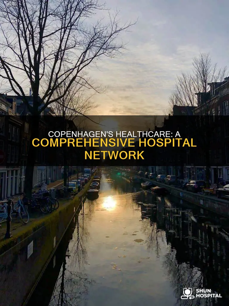 how many hospitals are there in copenhagen