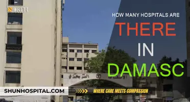Damascus Healthcare: A Comprehensive Hospital Network