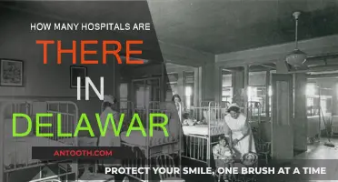 Exploring Delaware's Healthcare Landscape: Hospitals Count