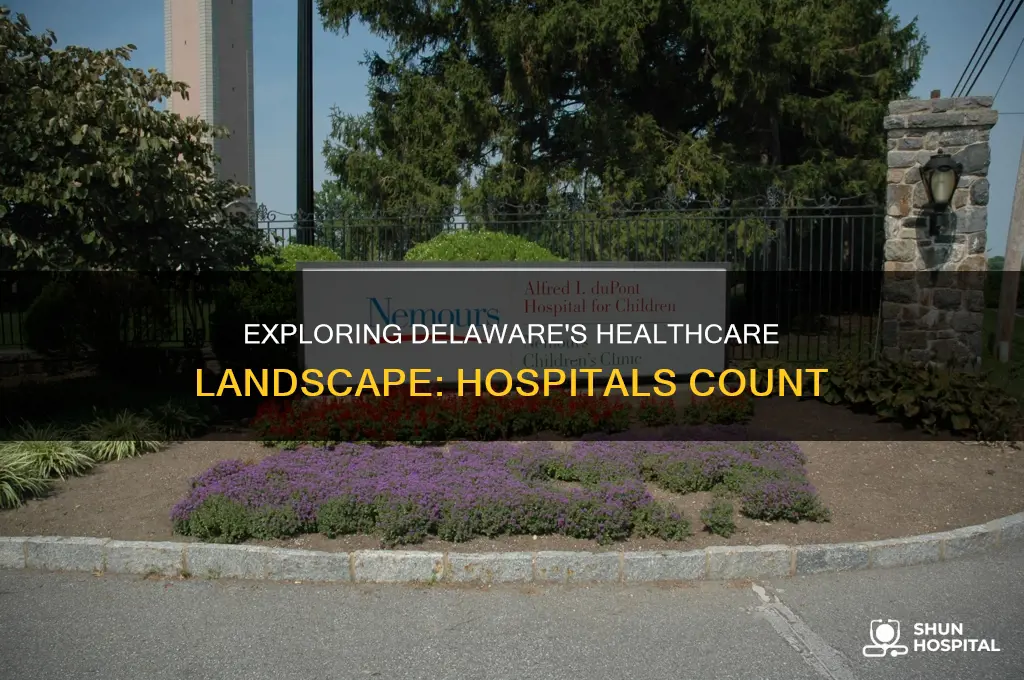 how many hospitals are there in delaware