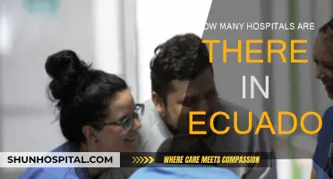 Exploring Ecuador's Healthcare: Hospitals Count and Availability