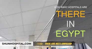 Egypt's Healthcare Infrastructure: Hospitals Count and Capacity