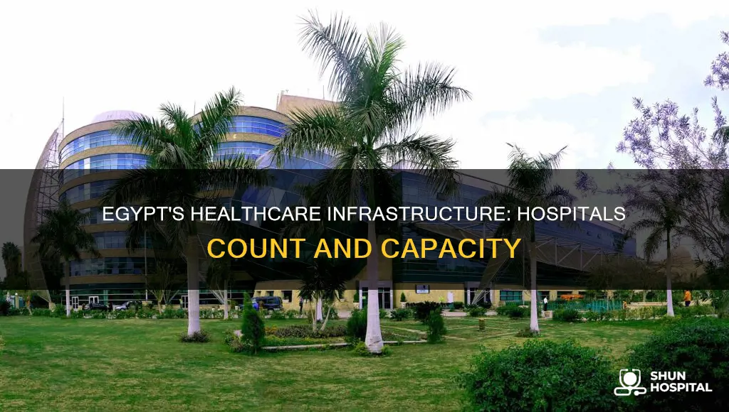 how many hospitals are there in egypt