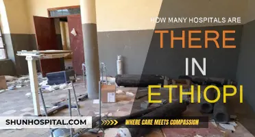 Exploring Ethiopia's Healthcare: Hospitals Count and Availability