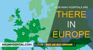 Exploring Europe's Extensive Hospital Network