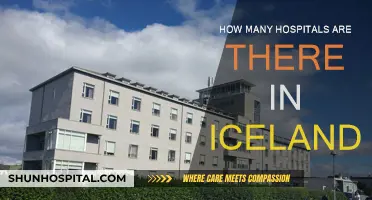 Exploring Iceland's Healthcare: Hospitals Count and Availability