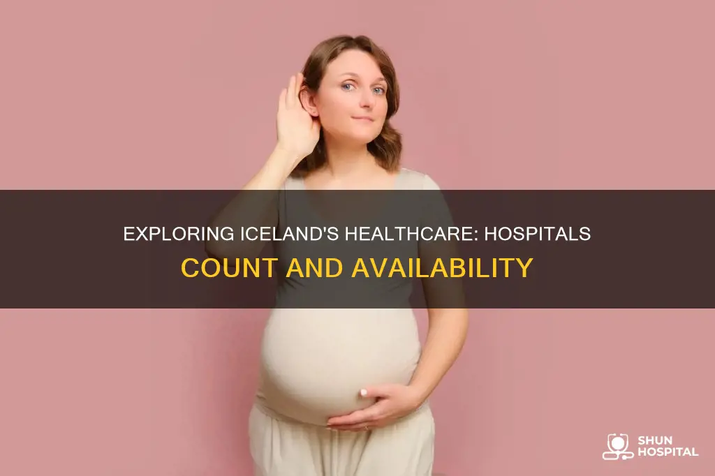 how many hospitals are there in iceland