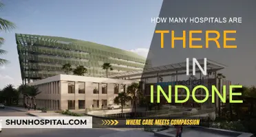 Exploring Indonesia's Healthcare: Hospitals Count and Availability