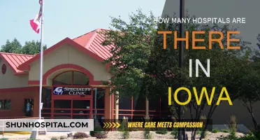Iowa's Healthcare: Hospitals and Their Numbers