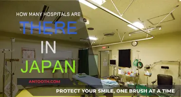 Japan's Healthcare System: Count of Hospitals
