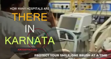 Karnataka's Healthcare Infrastructure: Hospital Count