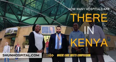 Healthcare in Kenya: Hospitals Count and Availability