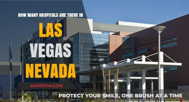 Exploring Las Vegas Healthcare: Hospital Count and Accessibility in Nevada