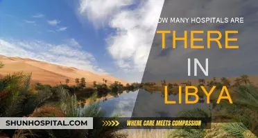 Libya's Healthcare Infrastructure: Counting the Hospitals