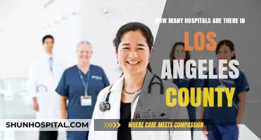 Exploring the Extensive Network of Hospitals in Los Angeles County