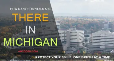 Michigan's Healthcare Landscape: Hospitals Count and Their Roles