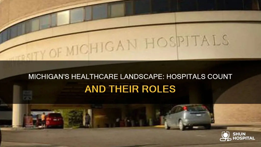 how many hospitals are there in michigan