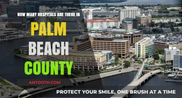 Palm Beach County's Healthcare Landscape: Counting Hospitals and Facilities