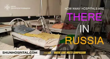 Russia's Healthcare System: Hospital Count